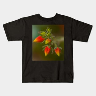 Echeveria Emerging Kids T-Shirt